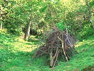 Ein ganzer Scheiterhaufen ist übrig geblieben